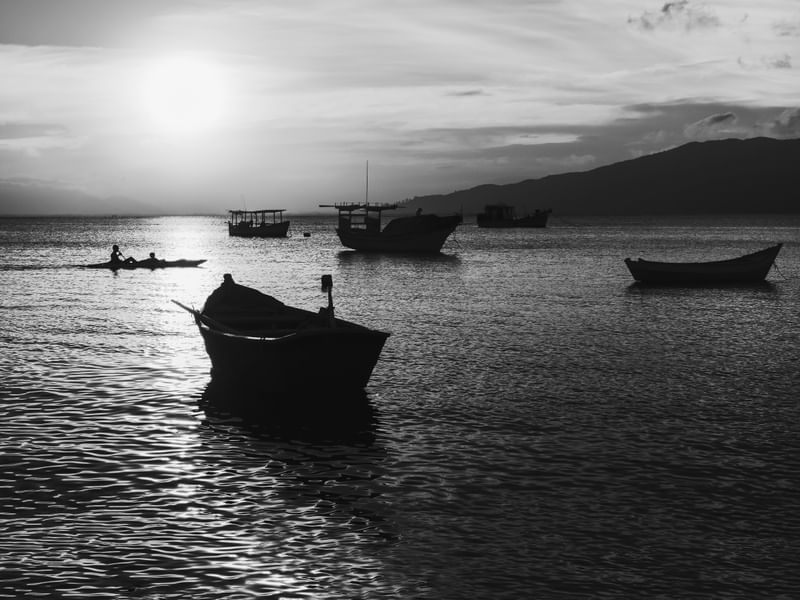 BARCOS CONTRALUZ