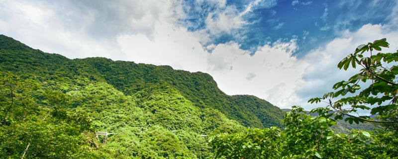 VERDE, AZUL E BRANCO