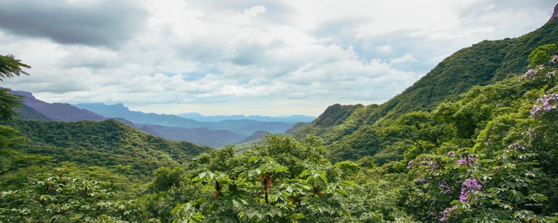 LINDA VISTA EM PANORÂMICA