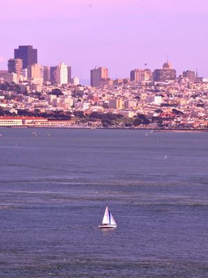 SAN FRANCISCO BAY AREA 1