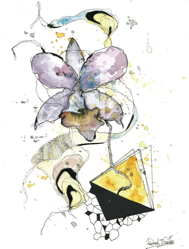 CATTLEYA- SÉRIE FLORAÇÃO 1/8