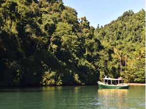 BARCO NATUREZA