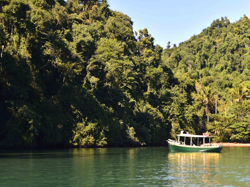 BARCO NATUREZA