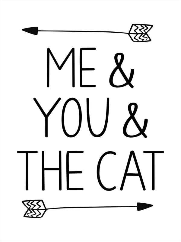 EU, VOCE E O GATO