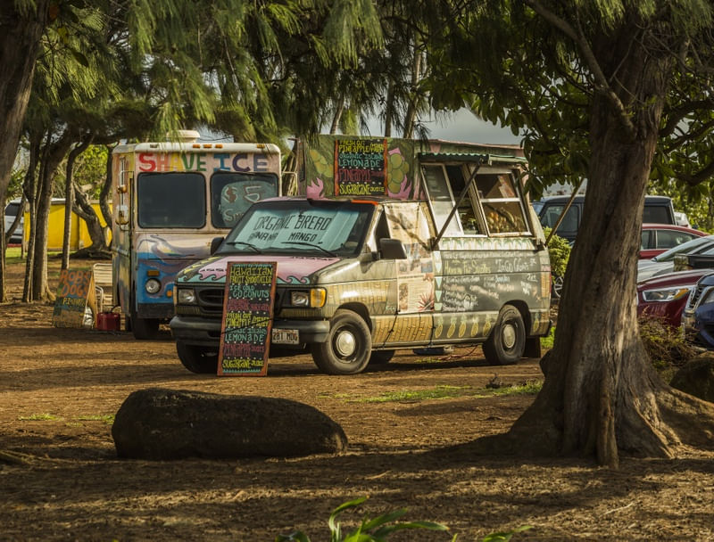 BACK TO HIPPIE (MAUI, HAWAII)
