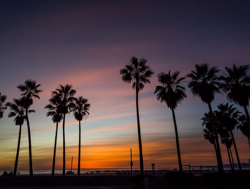 SUNSET (VENICE, CALIFORNIA)