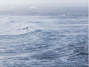 IN WAVES (MAUI, HAWAII)
