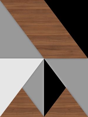 THE SHAPE OF WOOD I