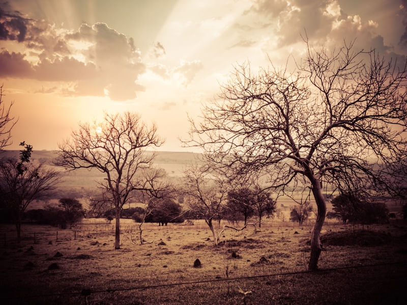 ENTARDECER 11