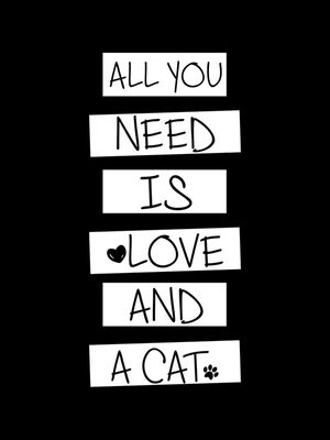 AMOR E GATO