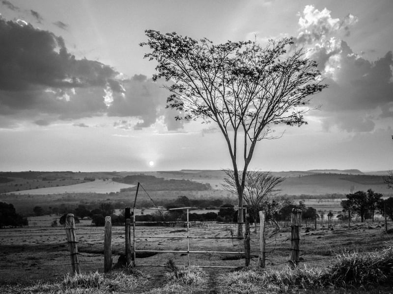ENTARDECER 12