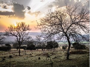 ENTARDECER 13