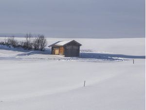 ALONE IN THE SNOW (FÜSSEN, ALEMANHA)
