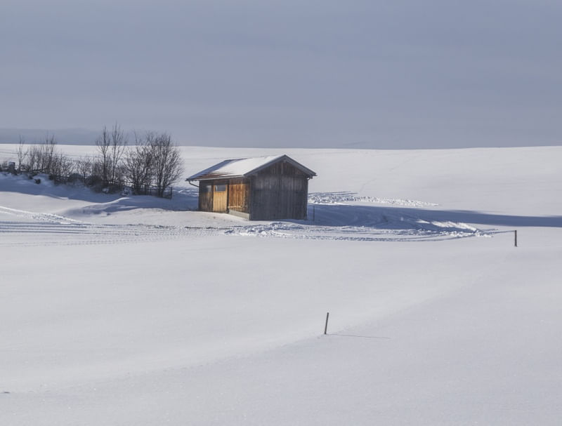 ALONE IN THE SNOW (FÜSSEN, ALEMANHA)