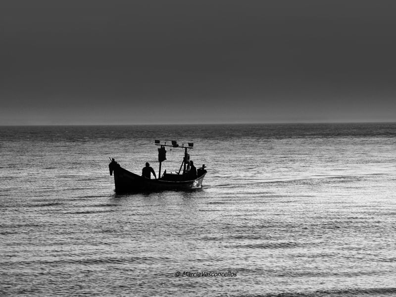 NATUREZA BW 3