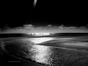 NATUREZA BW 4