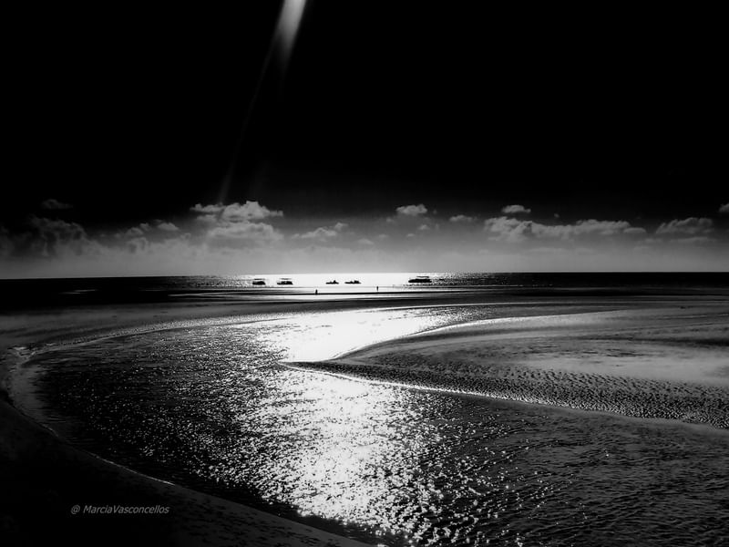 NATUREZA BW 4