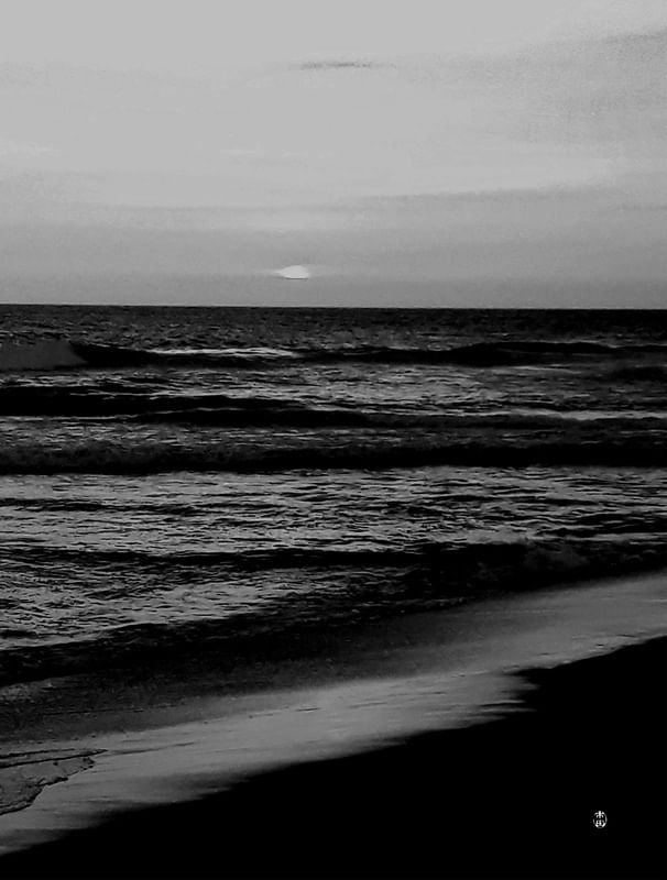 SOL DA BARRA II
