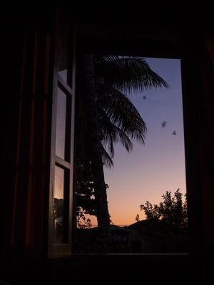 WINDOW TO ISLAND