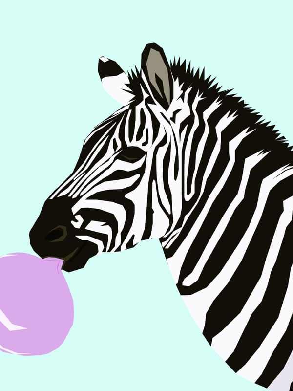 ZEBRA CHICLETE
