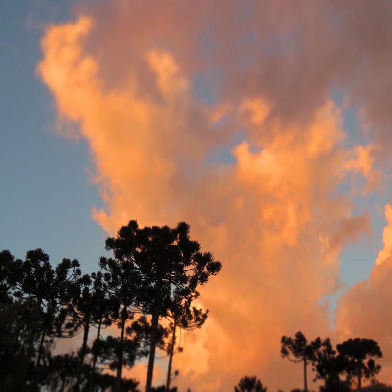 ORANGE CLOUDS