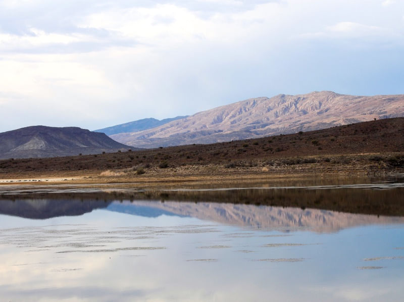 AFRICAN MIRROR