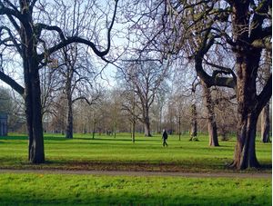 TOOTING PARK 2