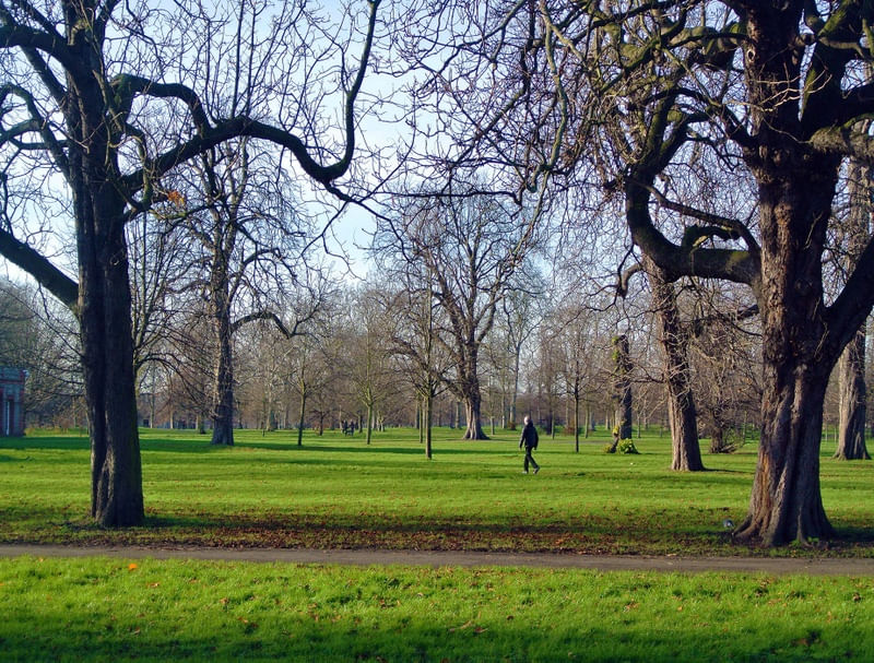 TOOTING PARK 2