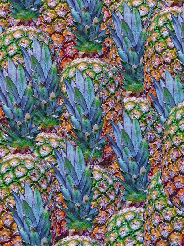 COROAS DE ABACAXIS