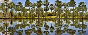CARNAUBAIS - PLANÍCIES DE CAMPO MAIOR - PIAUÍ - BRASIL