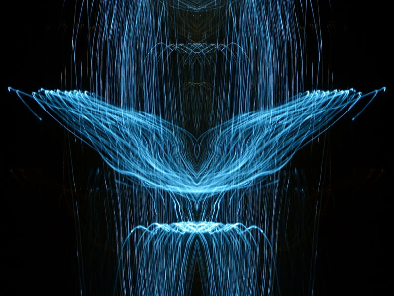 LIGHT ENTITY