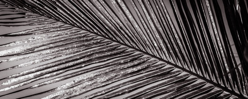 FOLHAS DIAGONAIS 9