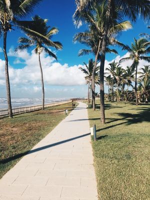 CAMINHO DOS COQUEIROS