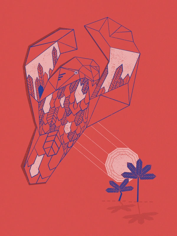 GEOTROPICAL