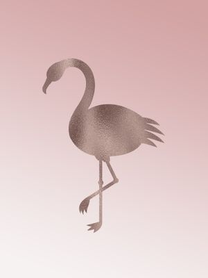 FLAMINGO ROSE GOLD