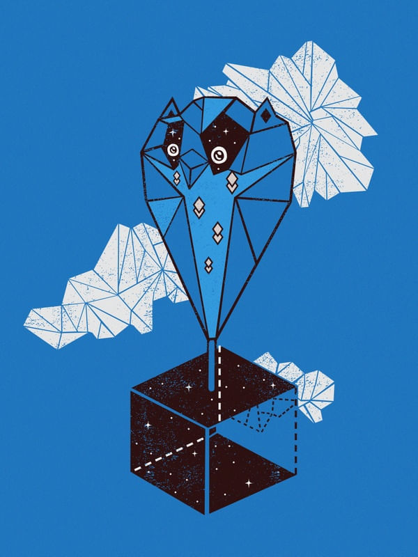 GEO CORUJA CUBO