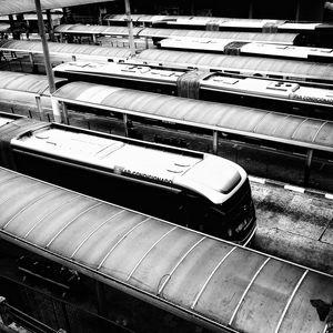 BUS LINES