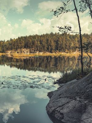 THE LAKE PART 2