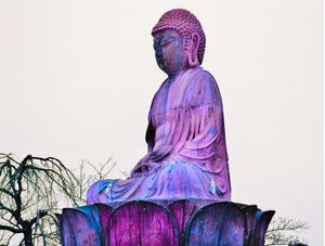 O BUDA ROSA
