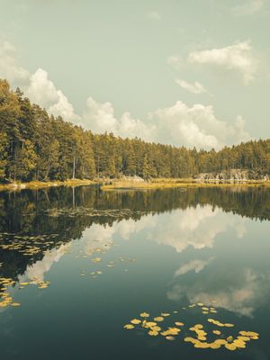 THE LAKE 3