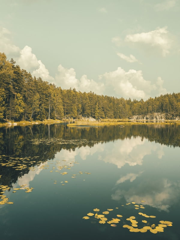 THE LAKE 3