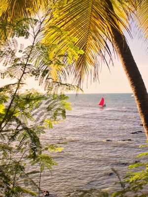 JANGADA NO MAR DA TAÍBA