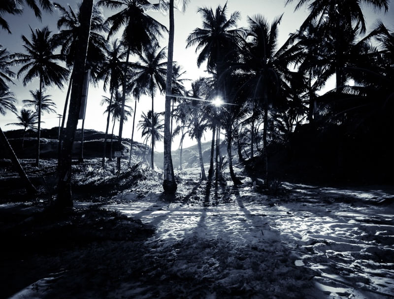 PRAIA DO COQUEIRINHO - CONDE- PARAÍBA -BRASIL