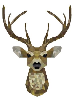 DEER POLY