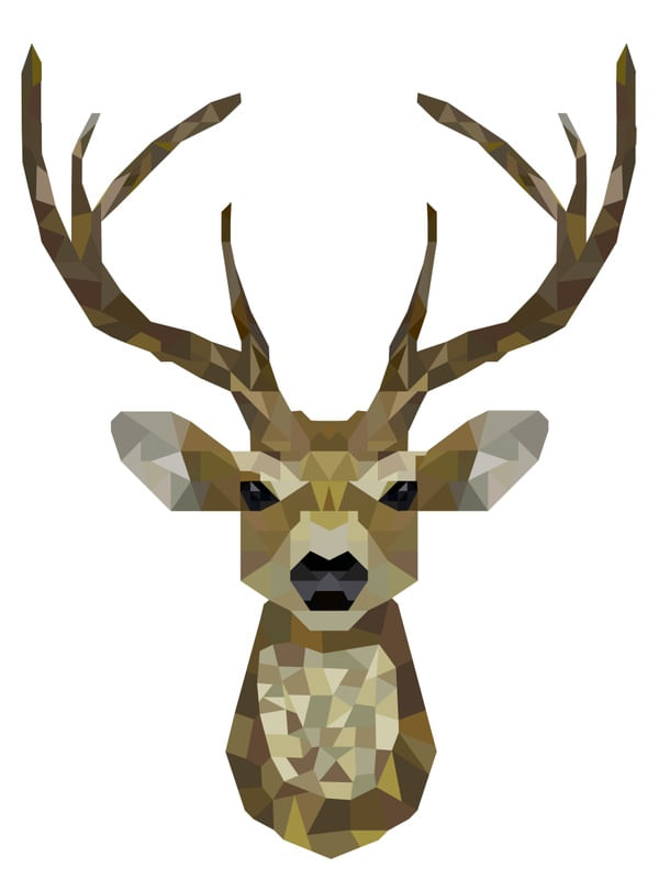 DEER POLY