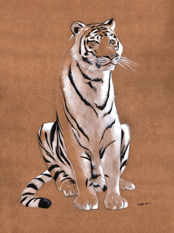 BIG CAT