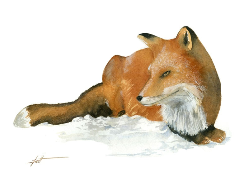 AQUAFOX