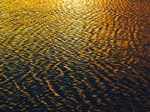 GOLDEN LIGHT