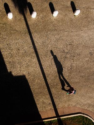 SOMBRAS DA MANHÃ