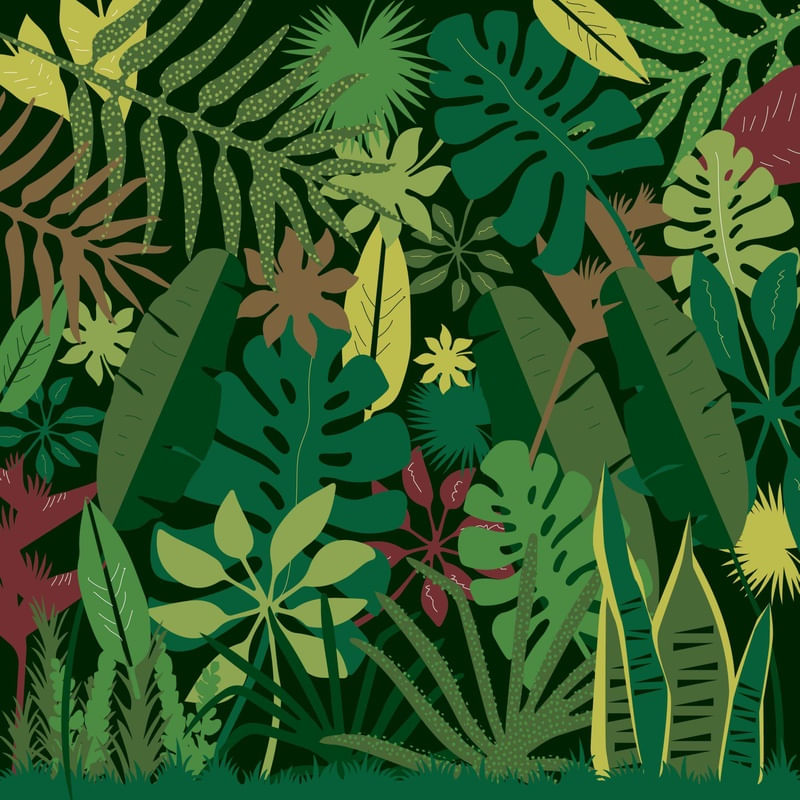 SELVA DANADA